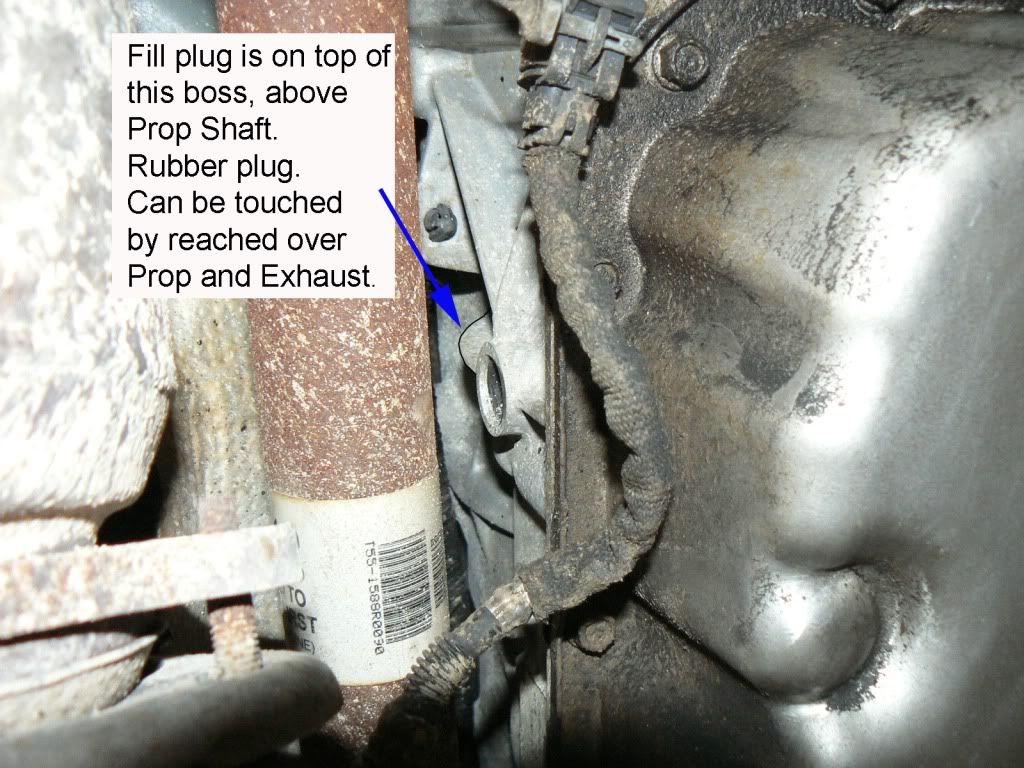 Transmission Fluid Filter Page 3